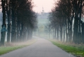 009_Biebrza - kwiecien 2012